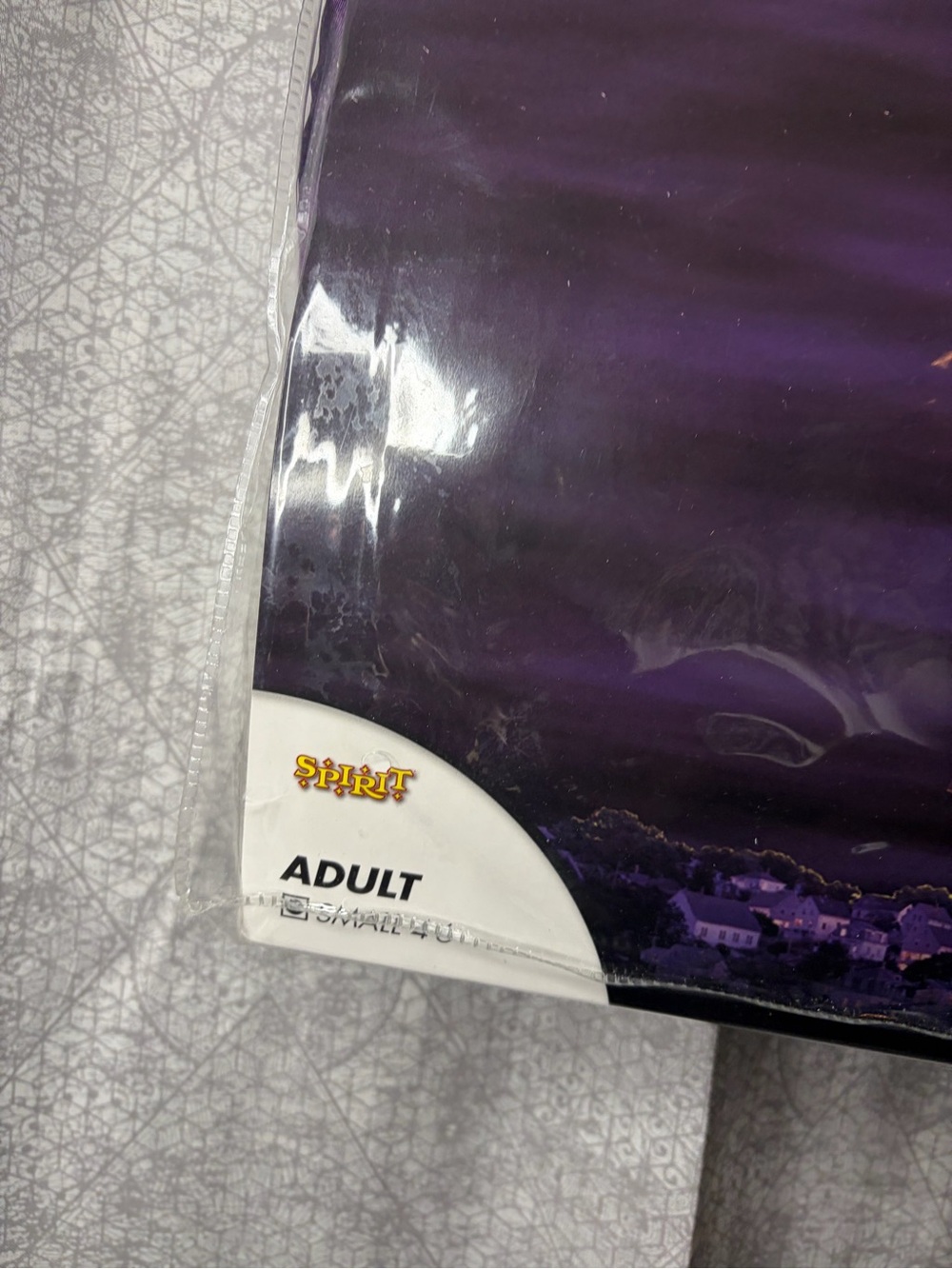 Spirit Sarah Sanderson Costume Size S - Picture 3 of 8